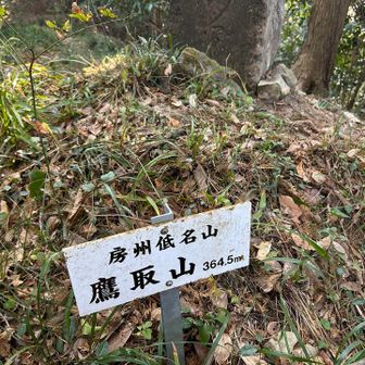 山頂標識🎵パート①