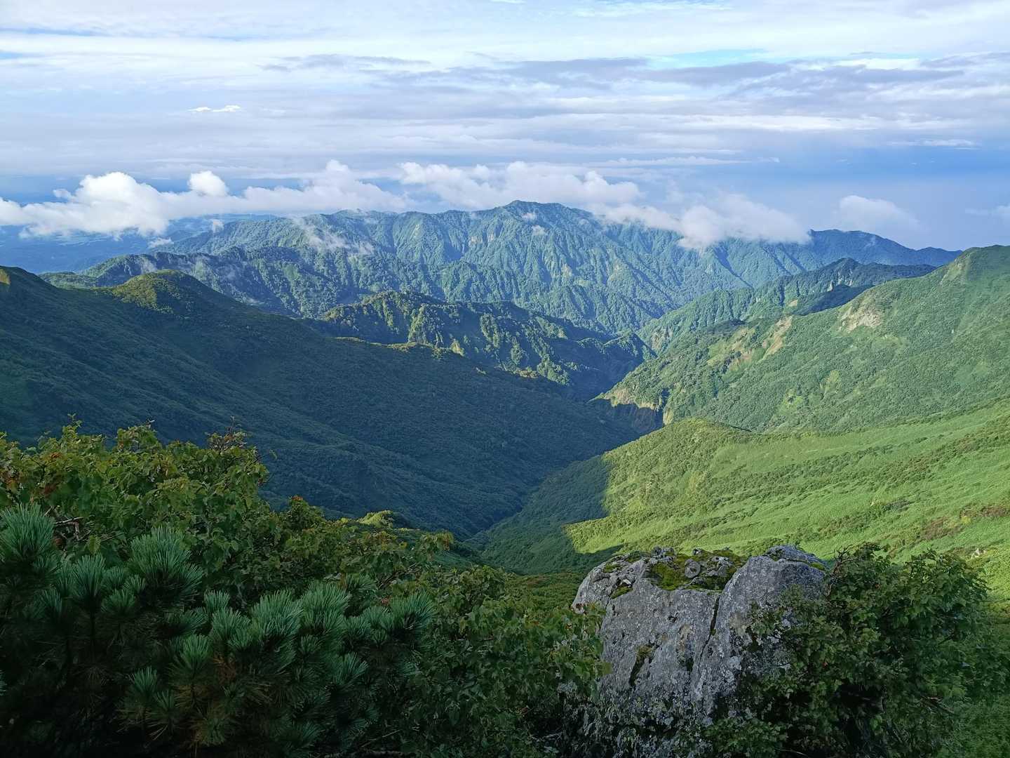 千走登山口-南狩場山-狩場山 往復コースの写真