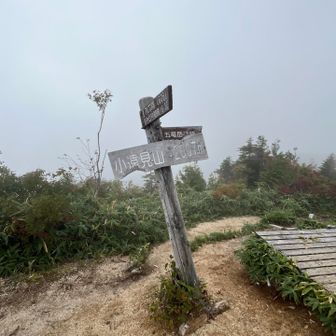 ピークが何個もあり復路で苦しめられた🤣