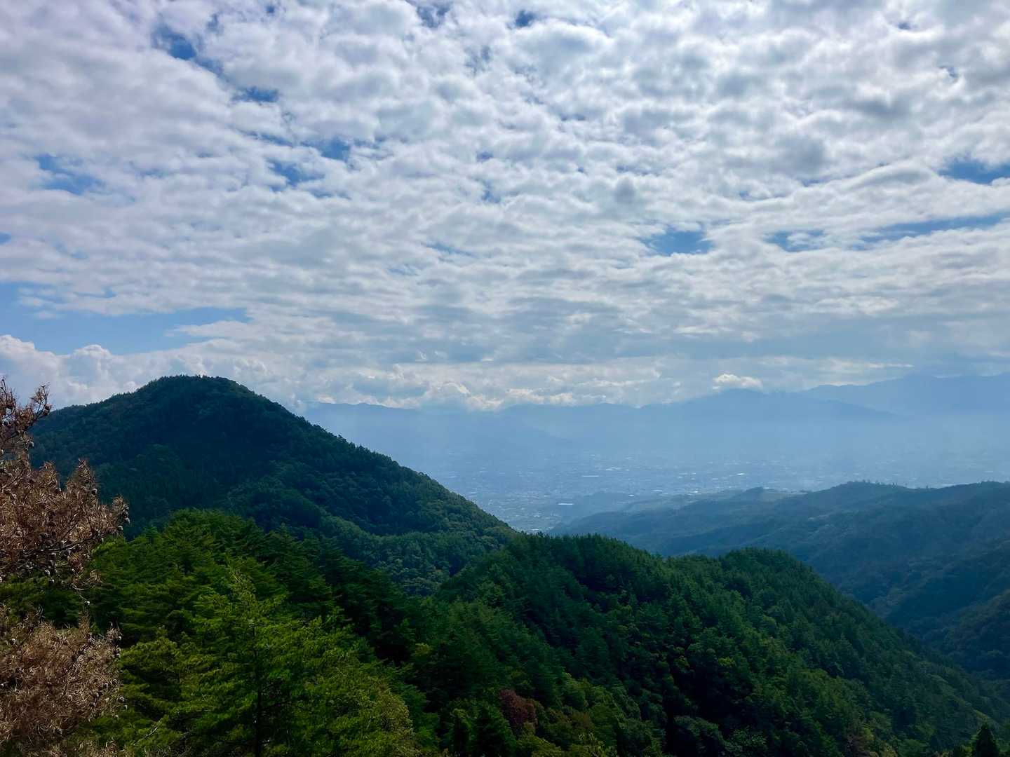 古峠-金光山-八幡山 往復コースの写真