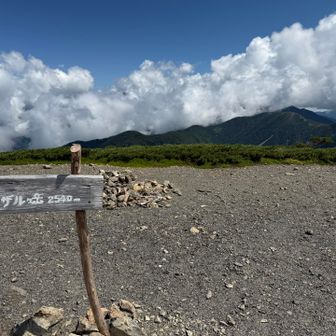 ザックをデポしてイザルガ岳山頂へ！上河内岳はかろうじて見えますが、聖岳は雲に隠れてしまった〜。イザルガ岳はライチョウが見られる南限なんだとか。しばらく見られてないみたいだけども。見たかった〜🐥