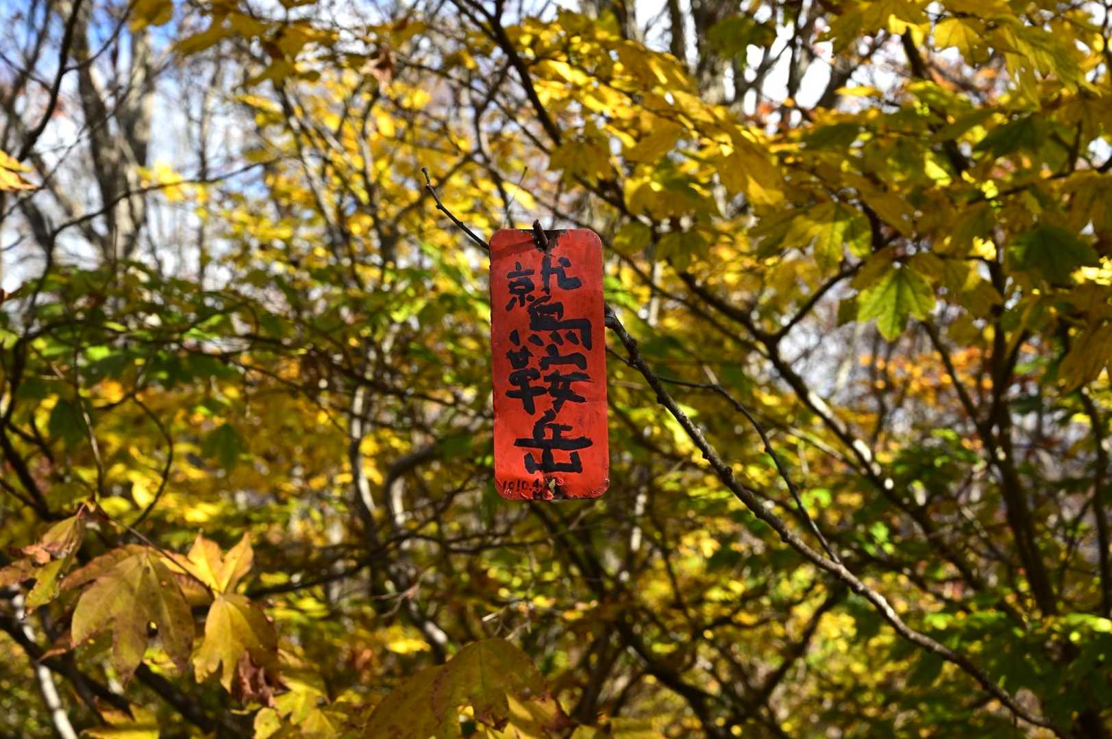 山頂到着