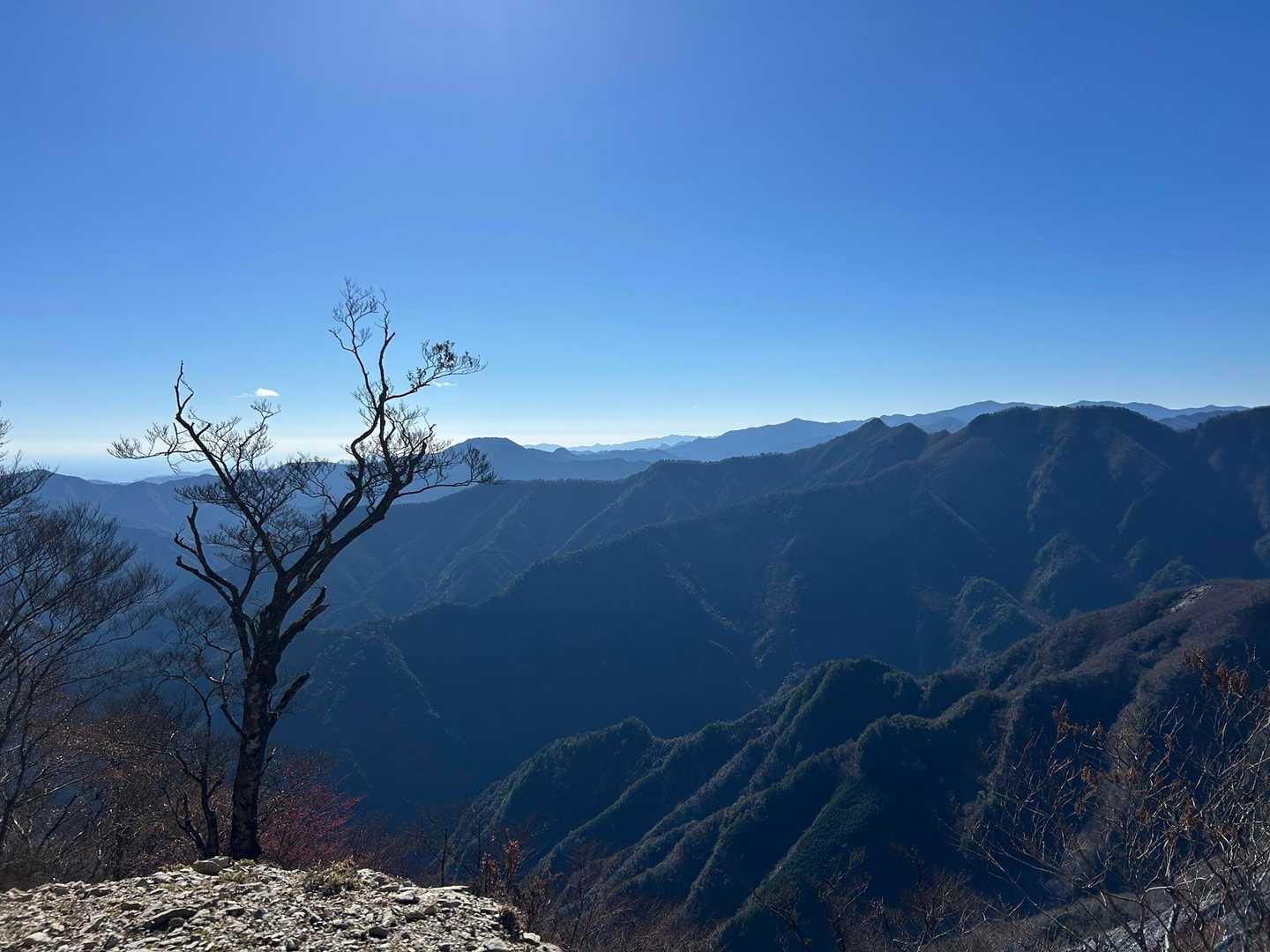 空気が澄んでるから？
山並みが美しすぎる⛰️