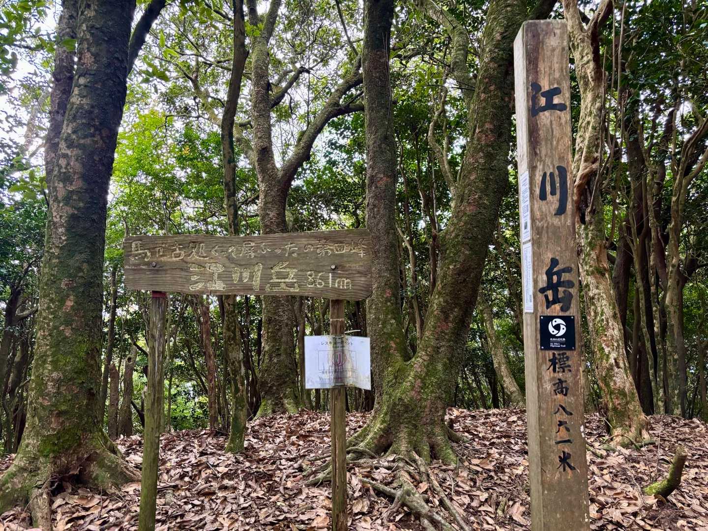 江川岳到着！
ポツポツと雨が☂️
休む間もなく下山