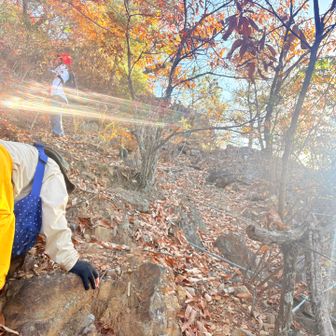 普通に歩いては登れません😶
よじ登る感じ。
ロープは1箇所あったけど、解け気味で危険⚠️

どうやって登るんや！？のヨピちゃんを他所に
kakkoさんはすでに先を見つめてます🤣
（風な写真なだけでちゃんと見守ってます）