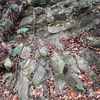 紀泉アルプス・飯盛山・ボンデン山 トラロープ場🪢
この岩、私の胸の高さまであった😂