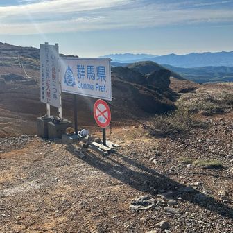人工物大嫌いなんだけどコレは別だね