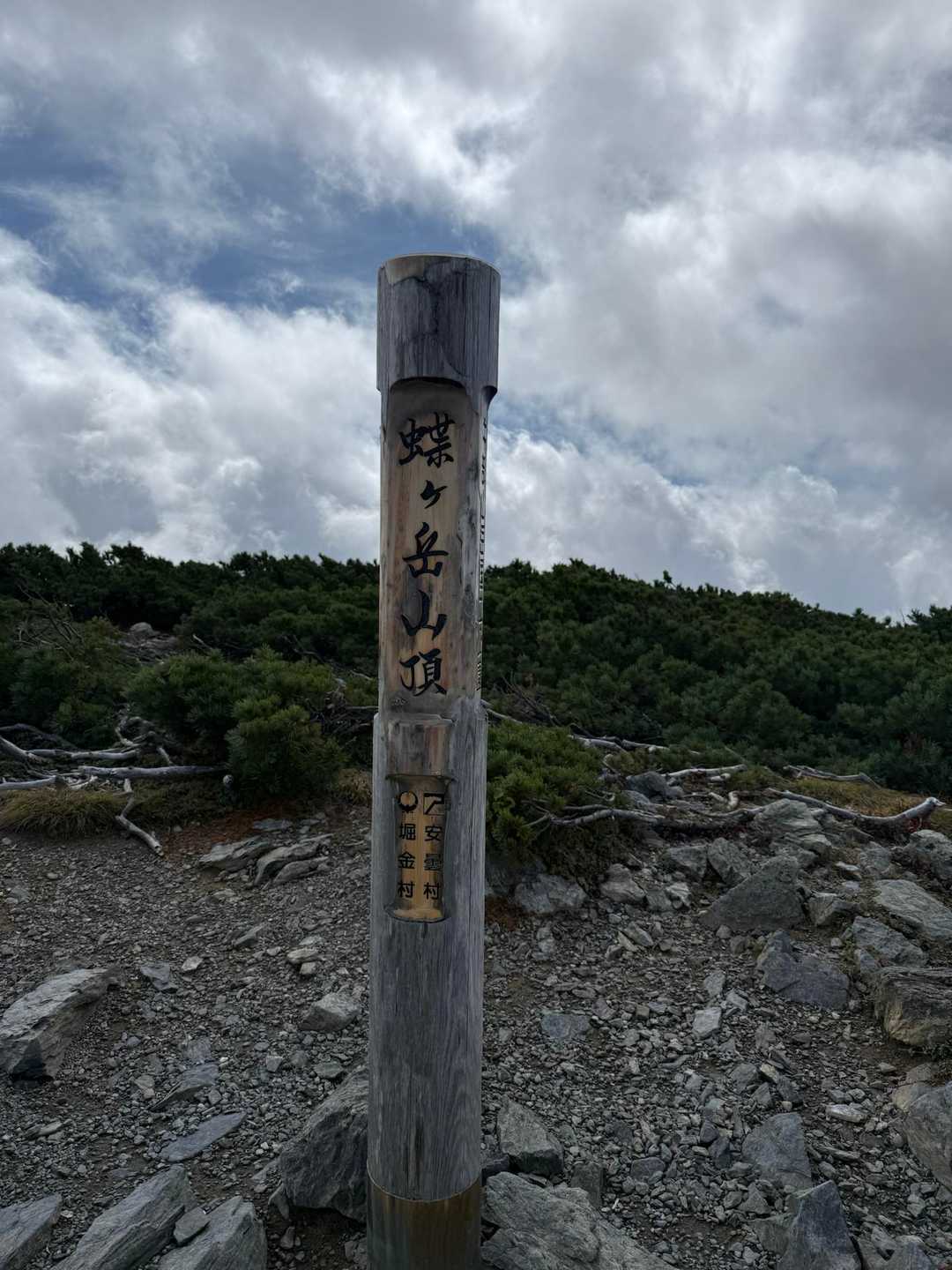 蝶ヶ岳 | 苔むした森を抜けてなだらかな稜線に立てば、槍・穂高連峰の大パノラマの写真