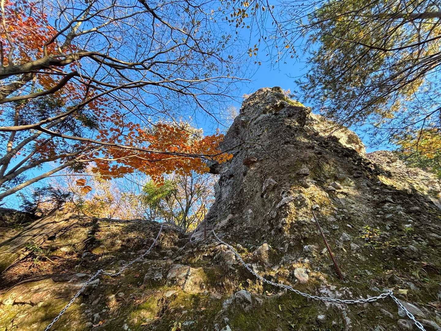玉屋神社登山口-英彦山 往復コースの写真