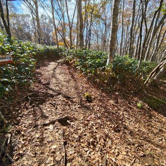 左手の駐車場近道へ下山。