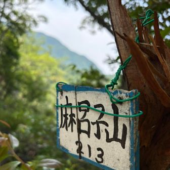 今日も麻呂子山だけ
二上山には登らず。