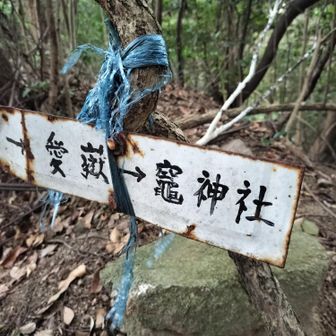見逃さないように