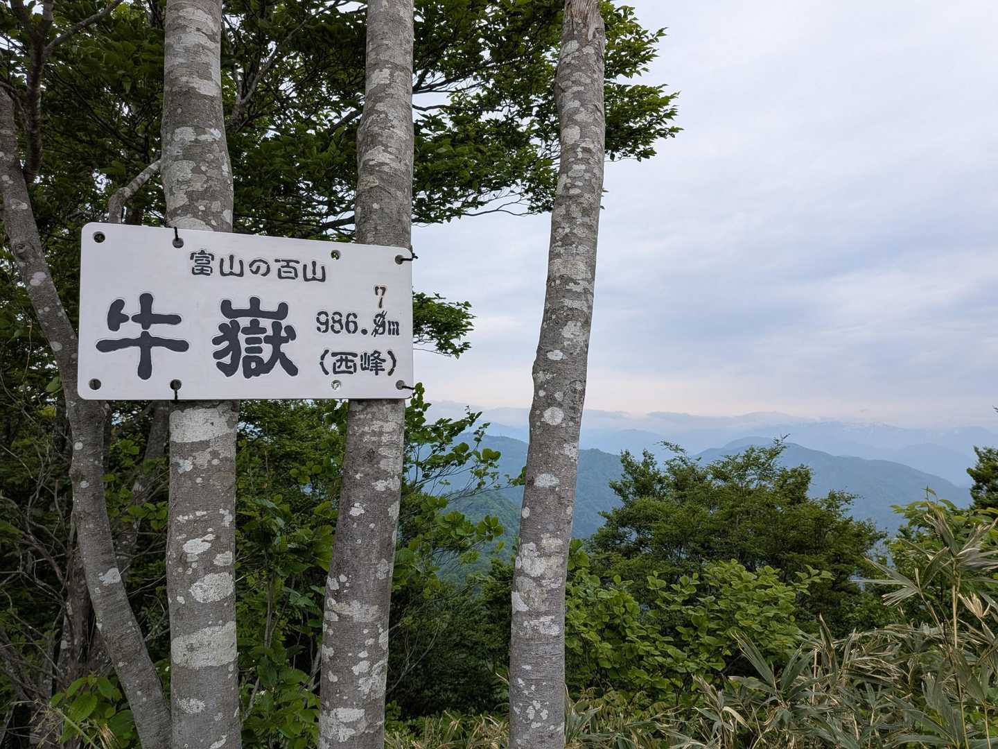 西峰