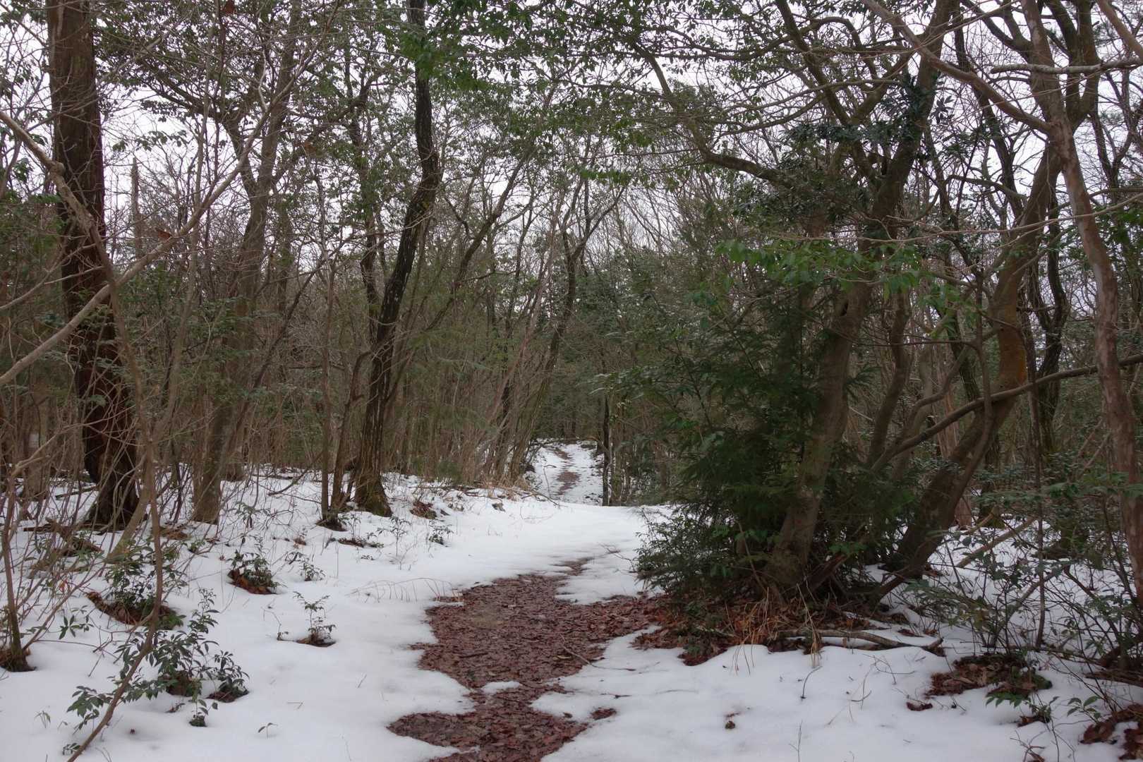 次は岳山山頂を目指します