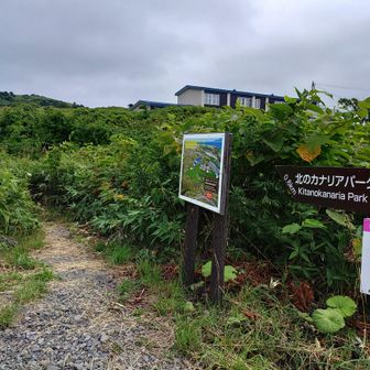どうやら短縮できたらしい。