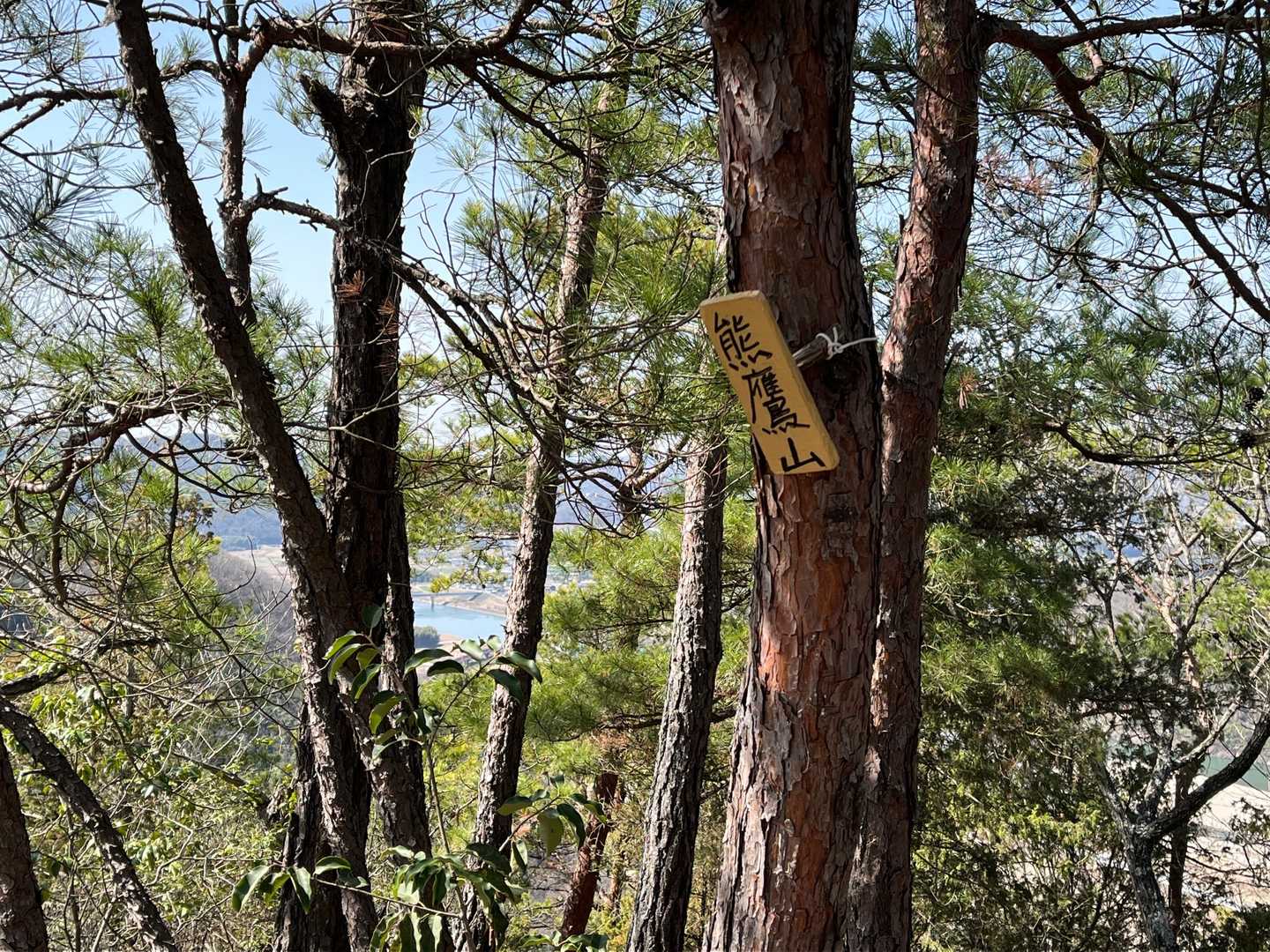 熊鷹山🚩からは↗️↘️あるけど尾根歩き🎶