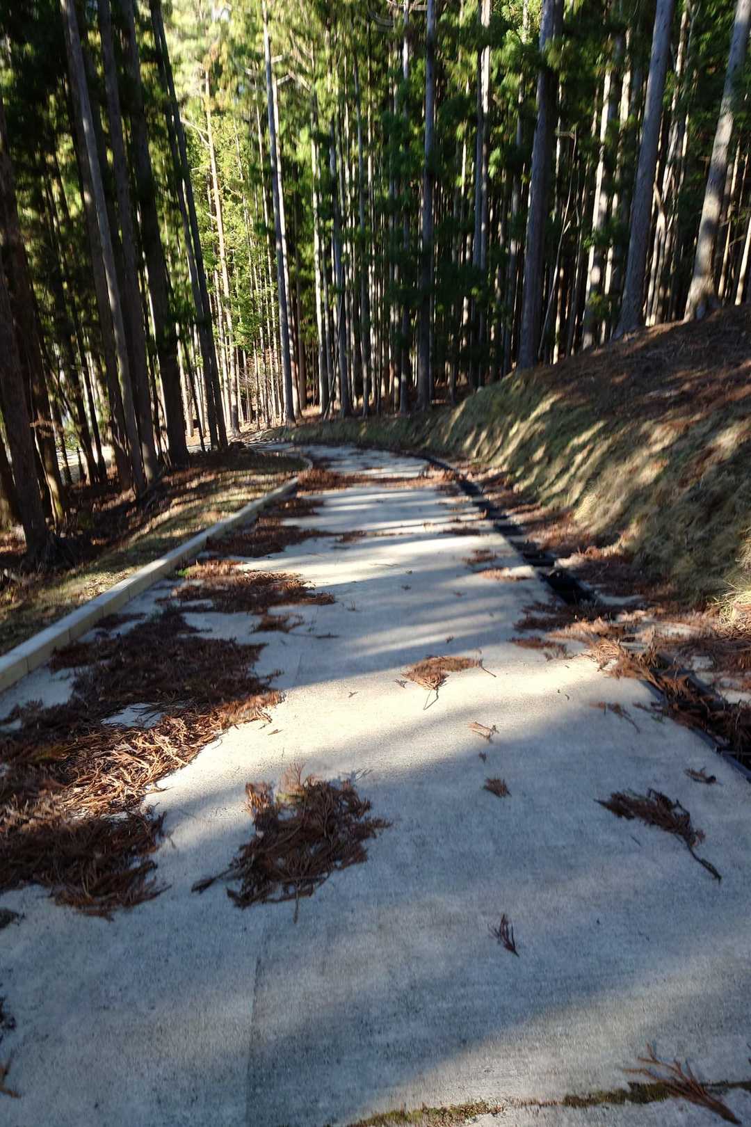 急いで下山して、ようやく舗装路に到着しました😅
ここまで来れば安心かなとホッとしながら駐車場へと向かいます😃
2人共体は冷え切ってしまっていました😥