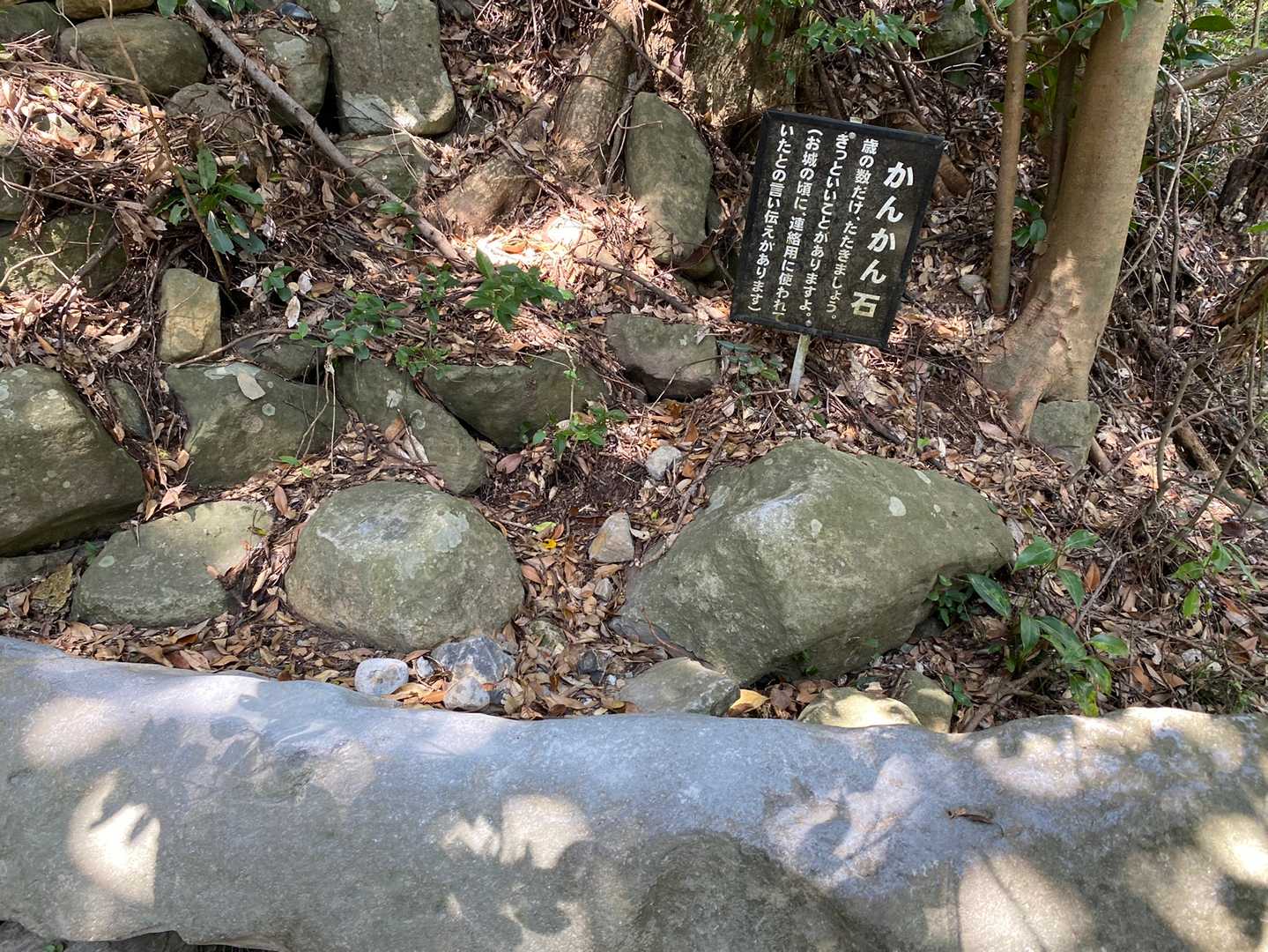 動画撮りながら叩いてたら、４０回叩いてしまった💦

38回で良かったのに💦笑  
いい音を堪能できたから良しとしよう🤣♬︎‪w
違うかｯ💦