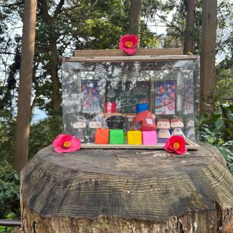 入学シーズンですね