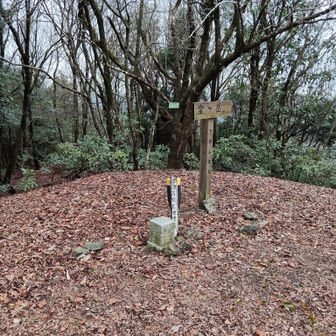 山頂の様子
開けていますが、木々に囲まれて、眺望なし。