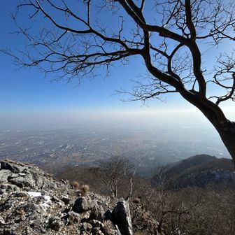 静かなるお立ち台