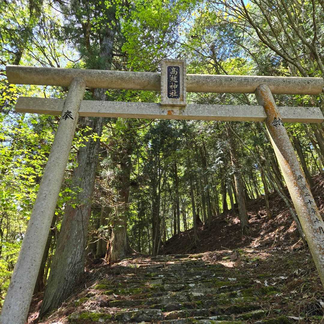 山頂目指しましょ
