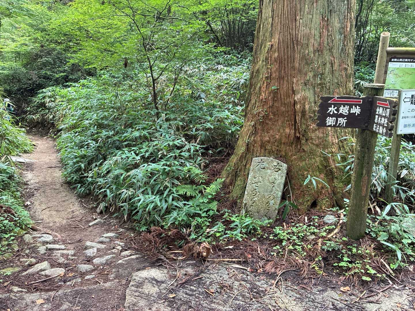 水越峠-金剛山-金剛山葛木神社 周回コースの写真