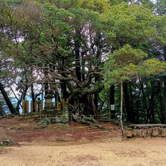 　　今日も🙏
　
　🐉様には逢えず