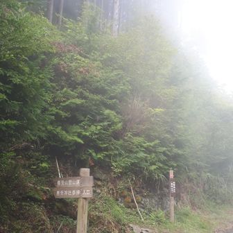 参道側から登ります。