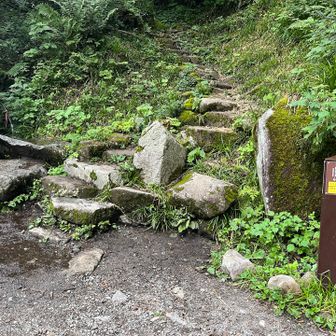 笠新道入り口まで降りて来ました