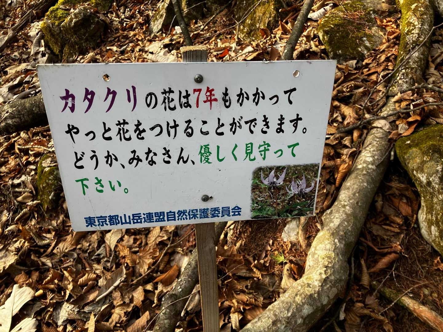 この標識が数度にわたって登場します