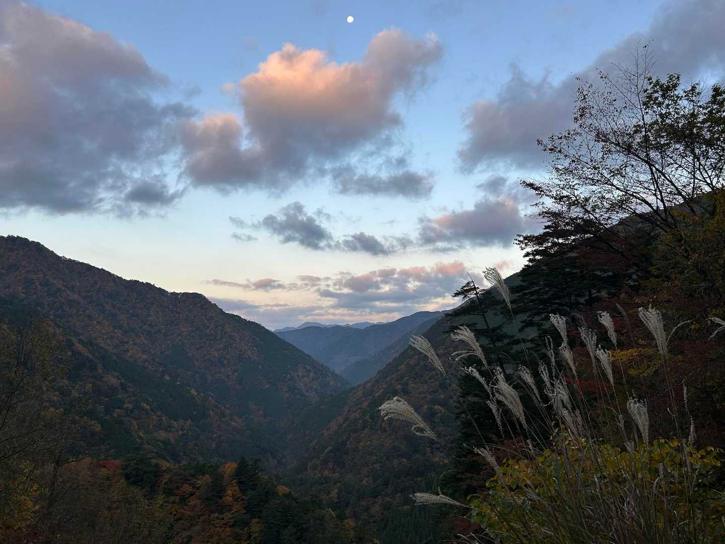 観音山から鶏冠山、熊伏山の方です！