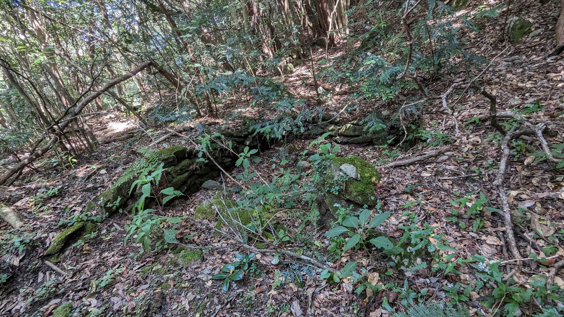 金山-アゴ坂峠 往復コースの写真