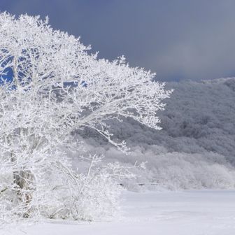 昼ご飯の後、雄国沼へ。ここでも雲が流れて演出が続きます。