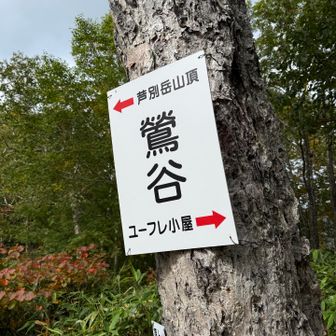 分岐。
避難目的の状況で向かうと、小屋にたどり着く前に遭難すると思う💦