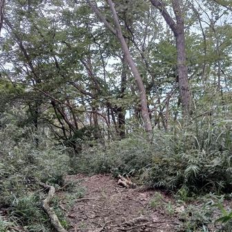 何もない軍荼利山(970m)