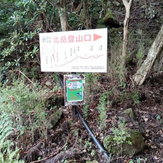 神社の横より