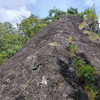 往路、屏風岩から獅子岩へ。
こんな岩尾根も(ここはパスして、巻く正規ルートを歩きました)。
※尾根ルート分岐の案内図の、『☓』印のルートです。