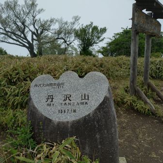 こちらも眺望はゼロ。少し休憩をして、来た道を戻ります。