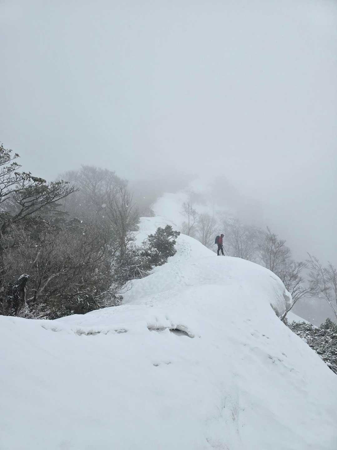 山頂はどこや~😊