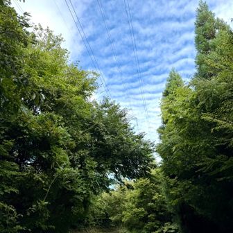 鉄塔が見えて来ました。