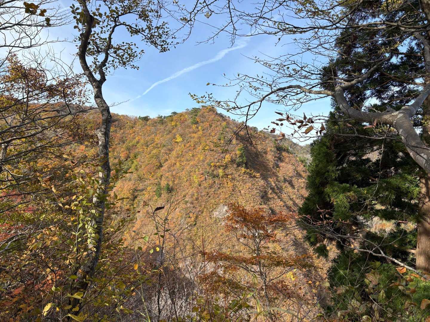 白兀山-蛇尾山-夕霧峠-奥医王山-三千坊 周回コースの写真