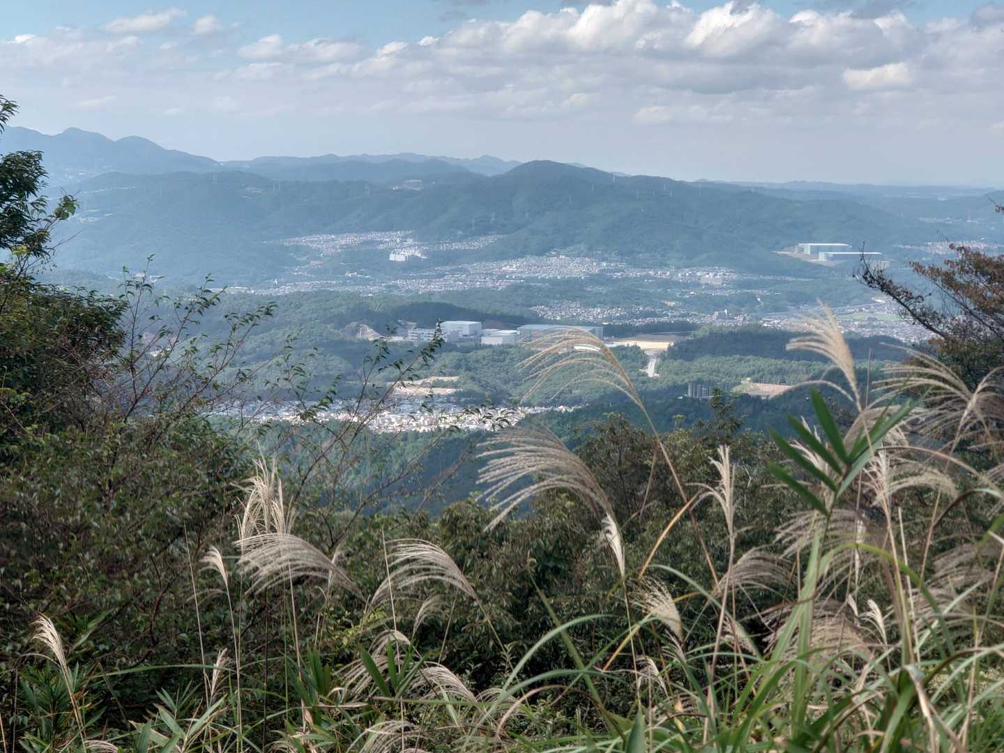 ほぼ景色のない山頂でしたが、見えるように、上の方を刈りました。🙆左奥は妙見山でしょうか？