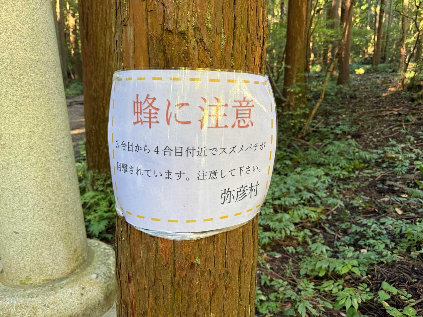 そう❗️これ‼️💦
スズメバチだけは怖い😰
正直、熊🐻より怖い🐝

動物はまだ感覚が分かりますが昆虫は何も考えないですからね、、、。💧