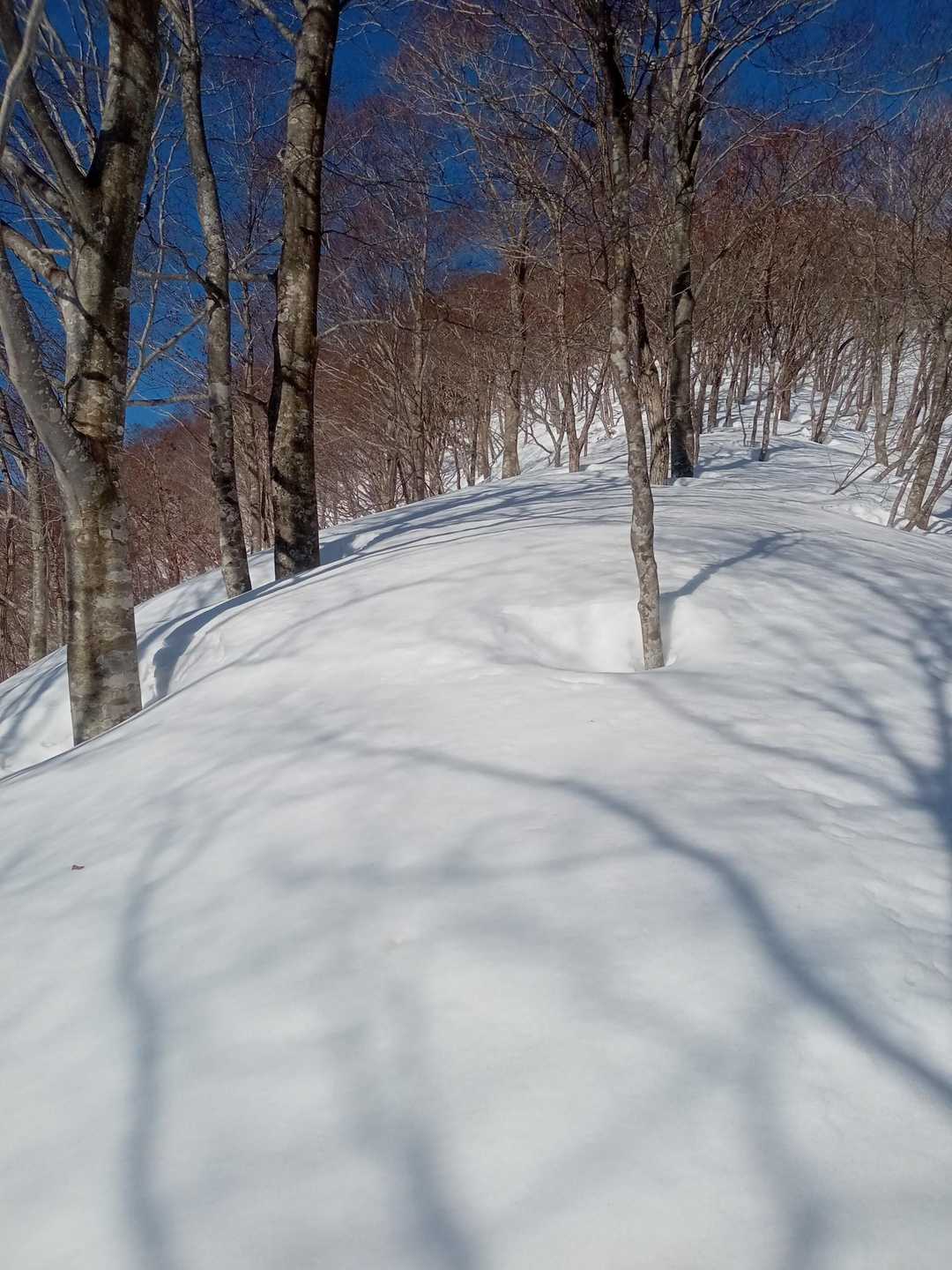 蕎麦粒山 往復コースの写真