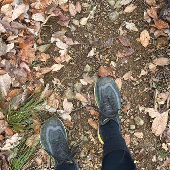 この度二代目のトレランシューズを投入しました
初代と同じtopoなのですが、新作なのにL-breathで35%くらい割り引かれていたのです

さて、新作の実力や如何に…