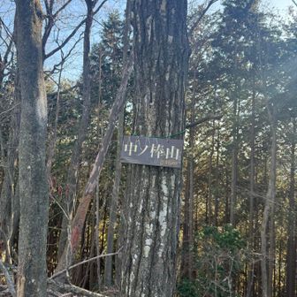 と思ったら綺麗な標識ありました笑