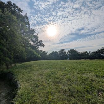 山頂着きました！