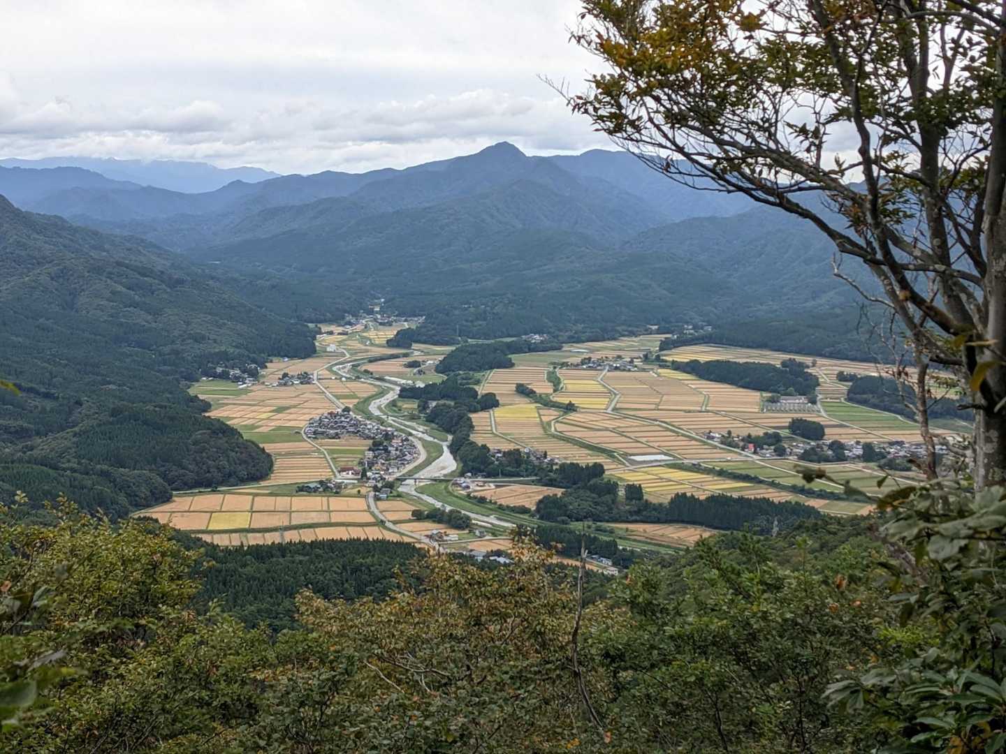 朴坂山登山口-朴坂山 往復コースの写真