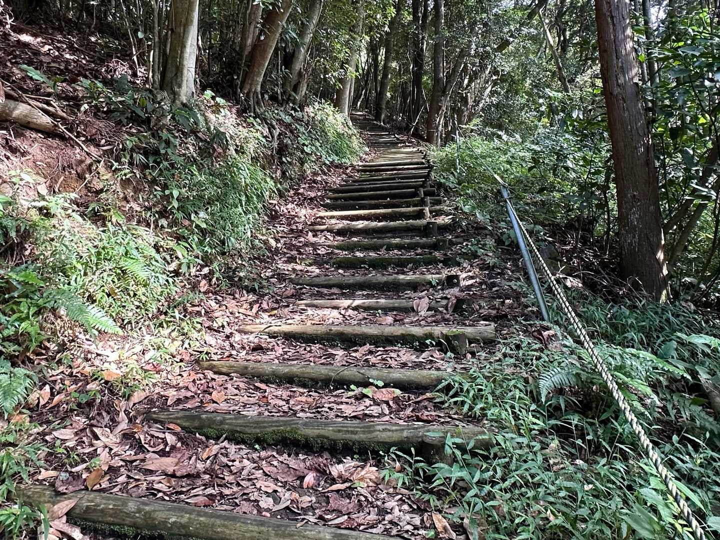 長い階段を登ります💦